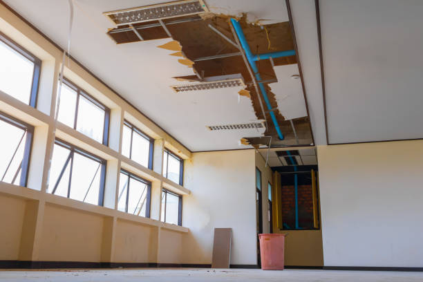 Best Ceiling water damage repair  in Vley, AL