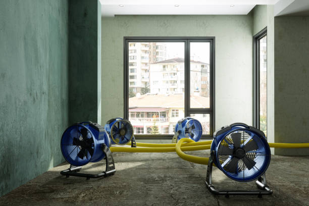 Best 24/7 water damage repair  in Vley, AL
