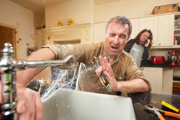 Best Flooded house restoration  in Vley, AL